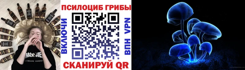 Галлюциногенные грибы Psilocybe  Купить закладки  Кяхта 
